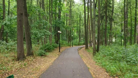 Drone flying forward above park pathway Vidéo 325662888