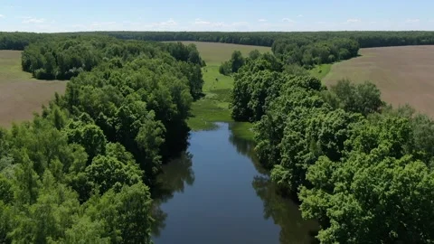 Drone flying forward above river and forest Video stock 331873966