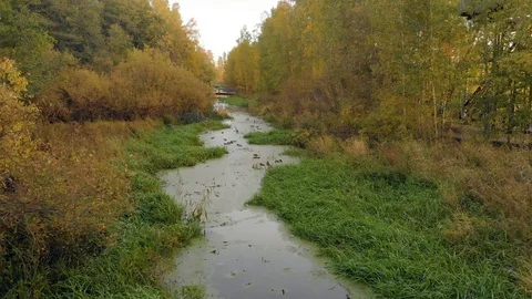 Drone flying forward above small river. Duck birds swimming. Helsinki Finland Stock Footage 105675420