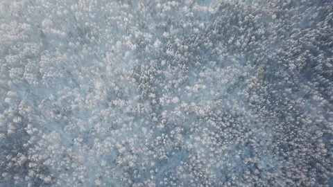 Drone flying forward above snowy forest fog Stock Footage 334180352