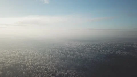 Drone flying forward above snowy winter forest Video stock 334181034