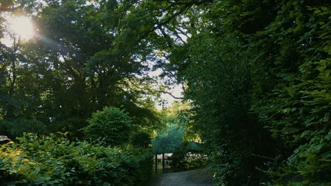 Drone Flying Forward Along Garden Path at Rogalin Palace Park 스톡 동영상 323772907