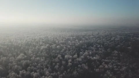 Drone flying forward and downward over snowy forest 動画素材 333603756