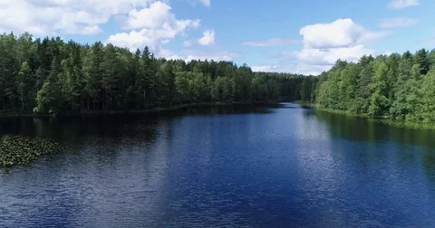 Drone flying forward and rising over calm lake near shoreline over tree line Video stock 78805170