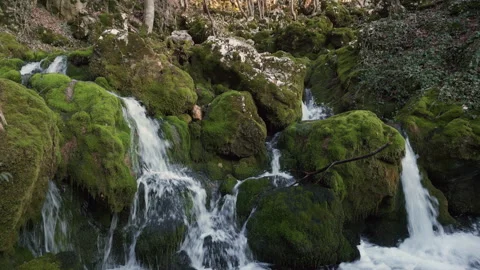 Drone flying forward and rising over mossy spring stream at Lisine, Serbia Stock Footage 327637292