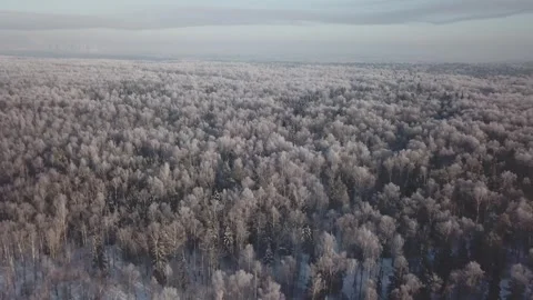 Drone flying forward and upward over snowy forest Video stock 333603680