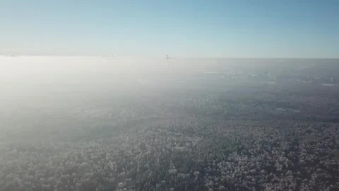 Drone flying forward and upward high above the forest 库存影片 333603860