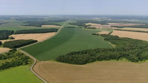 Drone flying forward descending toward corn field Видео 333183713