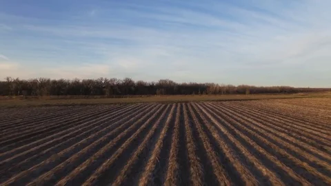 Drone Flying Forward From Field To River Stock Footage 78882884