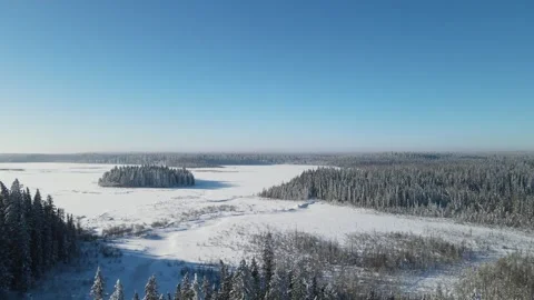 Drone flying forward low over the treetops in this winter forest setting Stock Footage 263583262