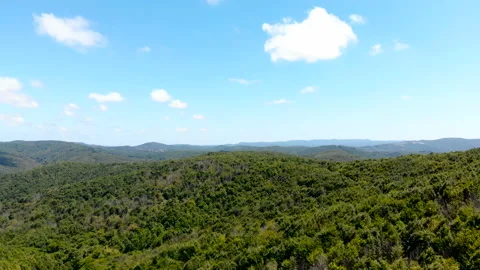 Drone flying forward over beautiful green forest. shot of forest and sky Stock Footage 139771583