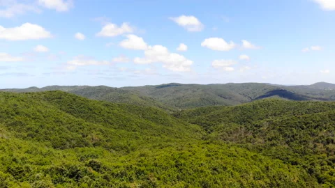 Drone flying forward over beautiful green forest. shot of forest and sky Stock Footage 139776101