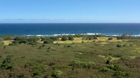 Drone Flying Forward Over Big Island Hawaii Coastline and Tropical Landscape 스톡 동영상 328387218
