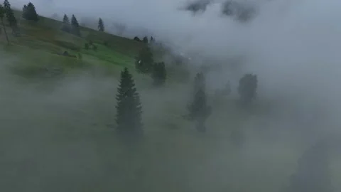 Drone Flying Forward Over Bucovina Hills Stock Footage 289577622