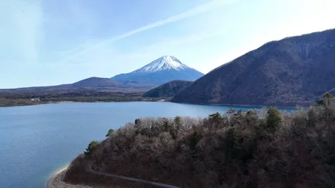 Drone flying forward over the cape of Lake Motosu towards Mount Fuji Stock-Footage 329063598