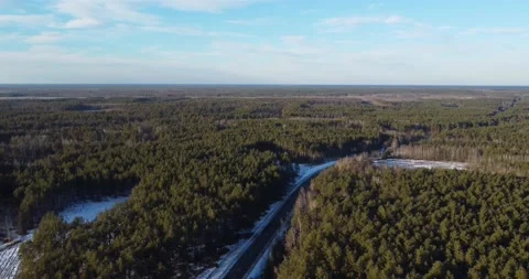 Drone flying forward over the driving road near a forest. Travel concept. Stock Footage 222962131
