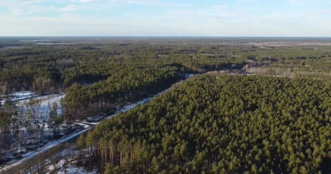 Drone flying forward over the driving road near a forest. Sunny day in winter Stock Footage 222962548