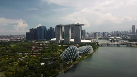 Drone Flying Forward Over Gardens by the Bay, Singapore Stock Footage 315138853