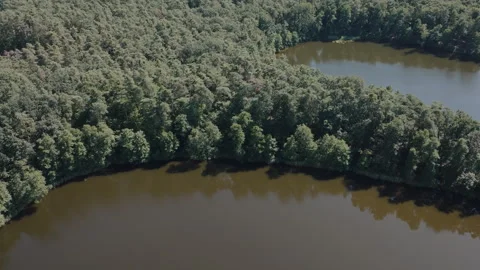 Drone Flying Forward Over Jezierce Lake in Forest, Poland Stock Footage 324961971