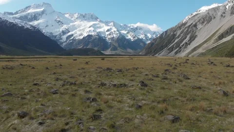 Drone Flying Forward Over Mountain Meadow Stock Footage 145720018