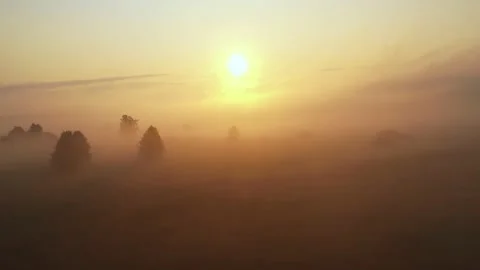 Drone flying forward over mysterious foggy field, trees and winding river under Stock Footage 153660006