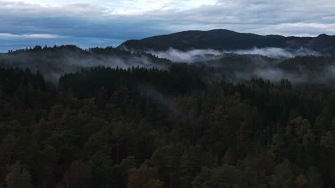 Drone Flying Forward Over Mystical Misty Forest in Norway Stock Footage 345763233
