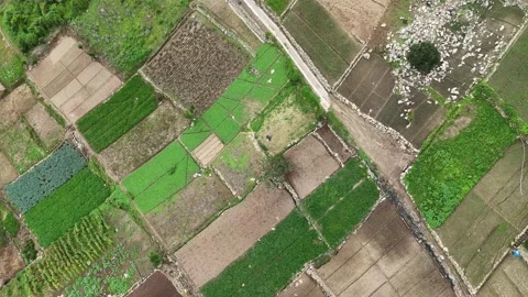 Drone Flying Forward Over Patchwork Farmland in Zunil Guatemala Stock Footage 344161826