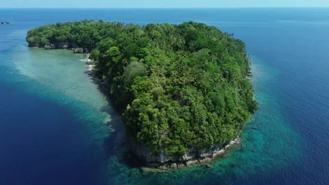 Drone flying forward over reef with downward angle Stock Footage 327455624