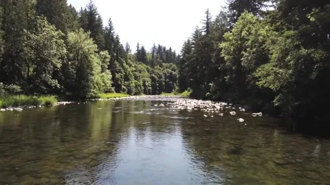 A drone flying forward over a shallow river valley with trees and exposed rocks Stock Footage 157455502