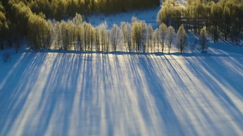Drone flying forward over snow filled sun soaked forest in Finland Video stock 275260873