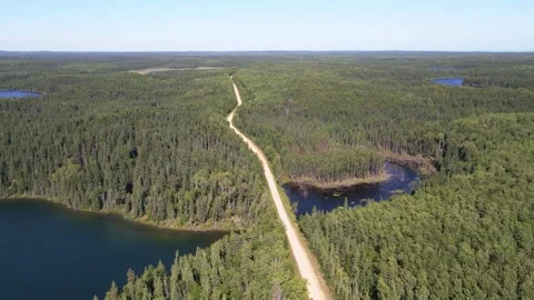 Drone flying forward over a vast boreal forest of mixed pine, spruce, and aspen  Stock Footage 257724303