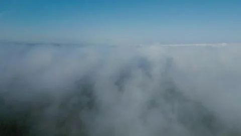 Drone Flying Forward Through Morning Fog Layer Above Forest Stock Footage 317256780