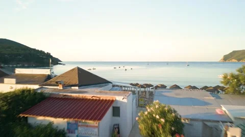 Drone Flying Forward Through Pine Trees to Lacona Beach  Forest Path Reveal.. Stock Footage 326471696