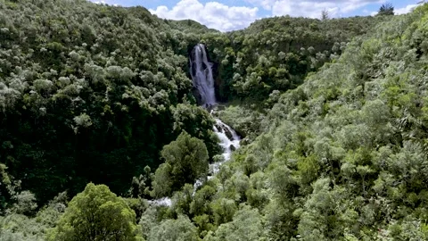Drone Flying Forward at Waipunga Falls Revealing Second Water Stream Stock Footage 317469312