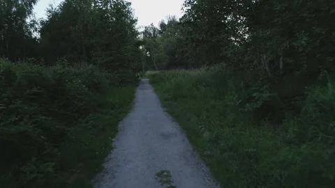 Drone Flying Forwards and Backwards Along A Walking Path In A Forest Stock Footage 100530759