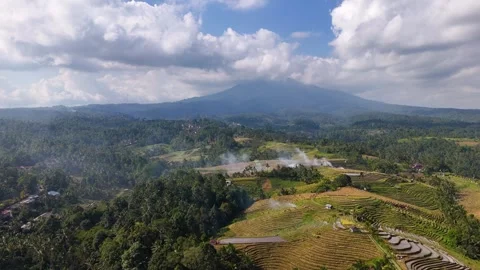 Drone flying forwards over forests and ricefields with a vulcano in the Stock Footage 345718264