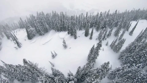 Drone Flying in Heavy Snowfall Over Backcountry Mountain Ridge Stock-Footage 129212674