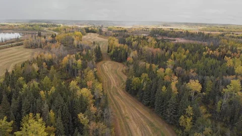 Drone flying high above a mixture of farm fields, and forests with beaver ponds Stock Footage 117080179