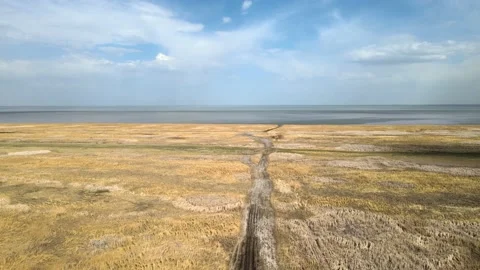 Drone flying high above over a large marsh in fall or spring colors  Stock Footage 154121259