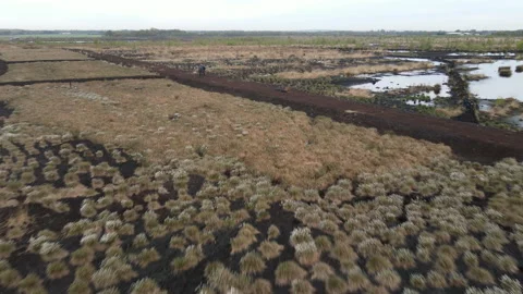 Drone Flying High Over Peat Bog, 4K 動画素材 219095397