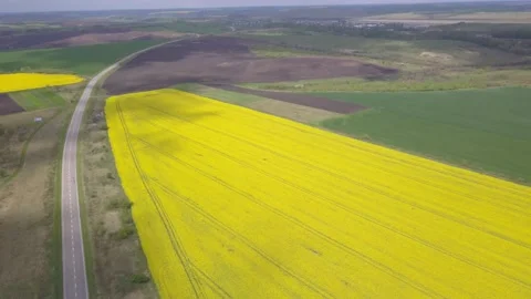 Drone flying high over a prairie landscape of blooming fields with a restored Stock Footage 143701191
