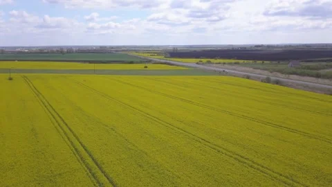 Drone flying high over a prairie landscape of blooming fields with a restored Stock Footage 143707968