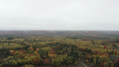 Drone flying high over trees in autumn Stock Footage 141771034