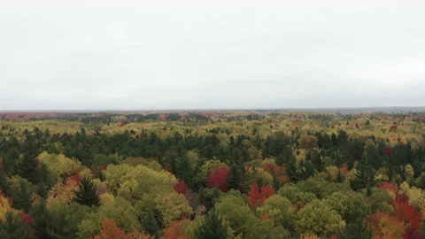 Drone flying high over trees in the middle of fall Stock Footage 141771595
