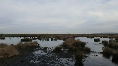 Drone Flying Horizontally Over Peat Bog, 4K 動画素材 219098571