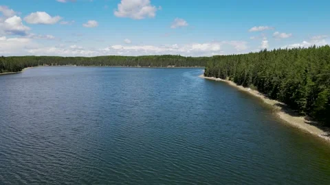 Drone flying just above a large lake set in a boreal forest.  Stock Footage 172082412
