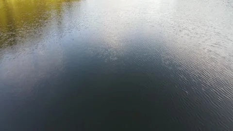 Drone flying low above a calm lake reflecting a clear blue sky, capturing smooth Stock Footage 329867977