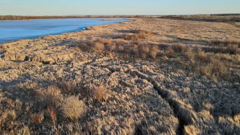 Drone flying low above a marsh that is lit by a golden setting sun.  Stock Footage 152593961