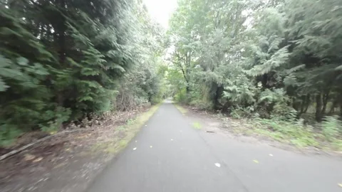 Drone Flying Low Along Paved Wooded Trail  (Desaturated) Stock Footage 252632594
