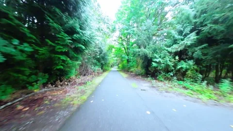 Drone Flying Low Along Paved Wooded Trail (Color Graded) Stock Footage 252635583